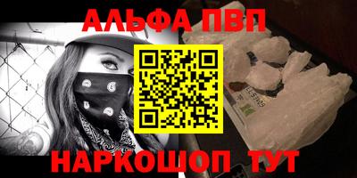 крисы Кингисепп