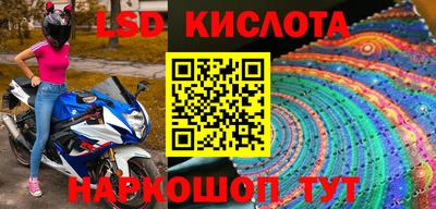 крисы Кингисепп