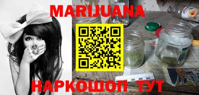 крисы Кингисепп