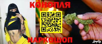 spice Кинель