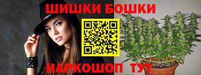 крисы Кингисепп