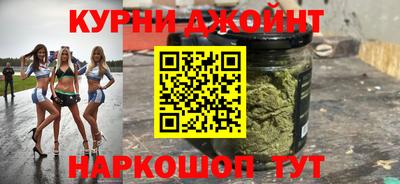 крисы Кингисепп