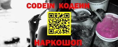 крисы Кингисепп